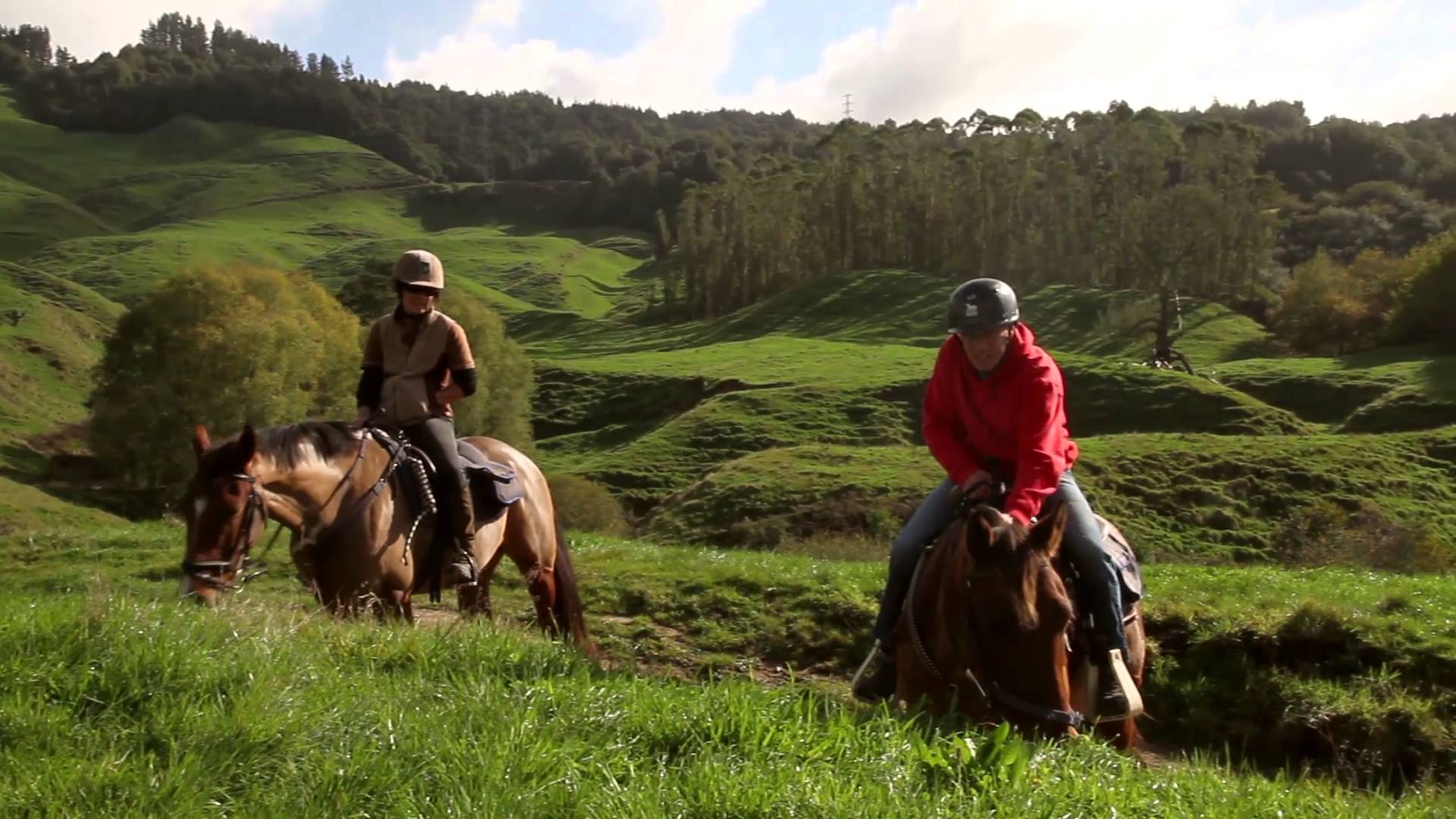 Rotorua discount coupons