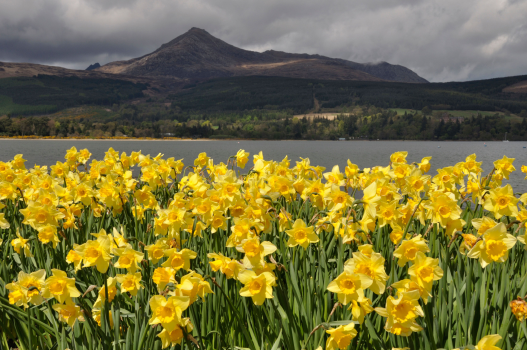 Spring Highland Seasonal Guide