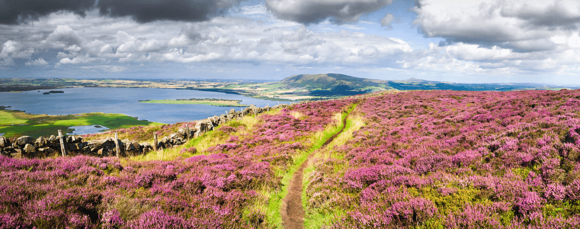 The Great Highland Adventure Offer