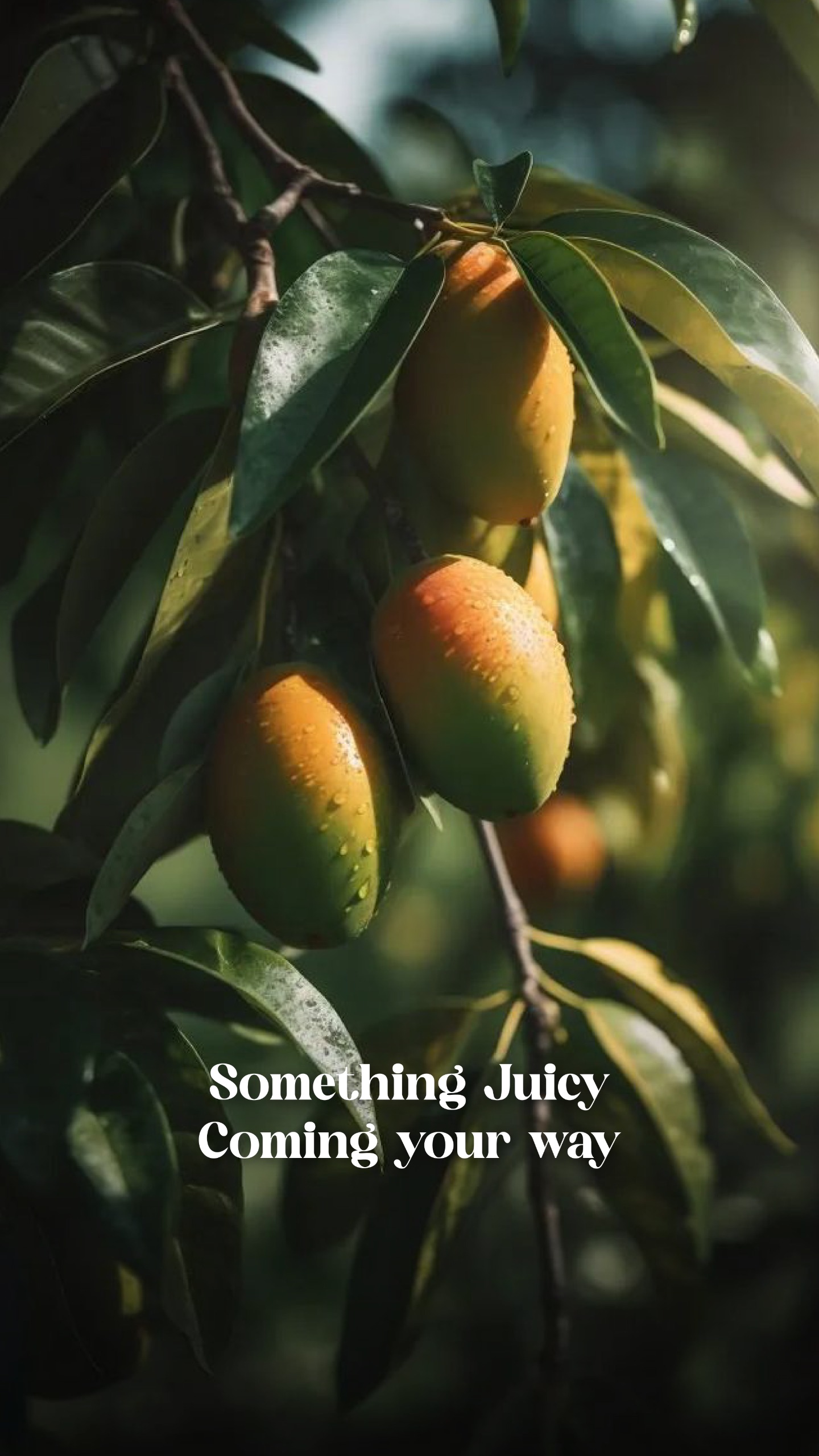 Luxurious Hotel in Juhu - Seafront Hotel near Mumbai Airport | Sun N 
  Sand